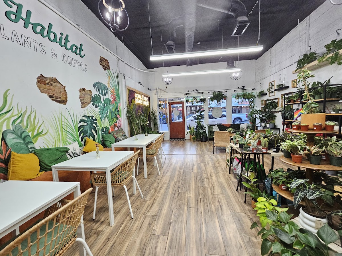Habitat Plants + Coffee